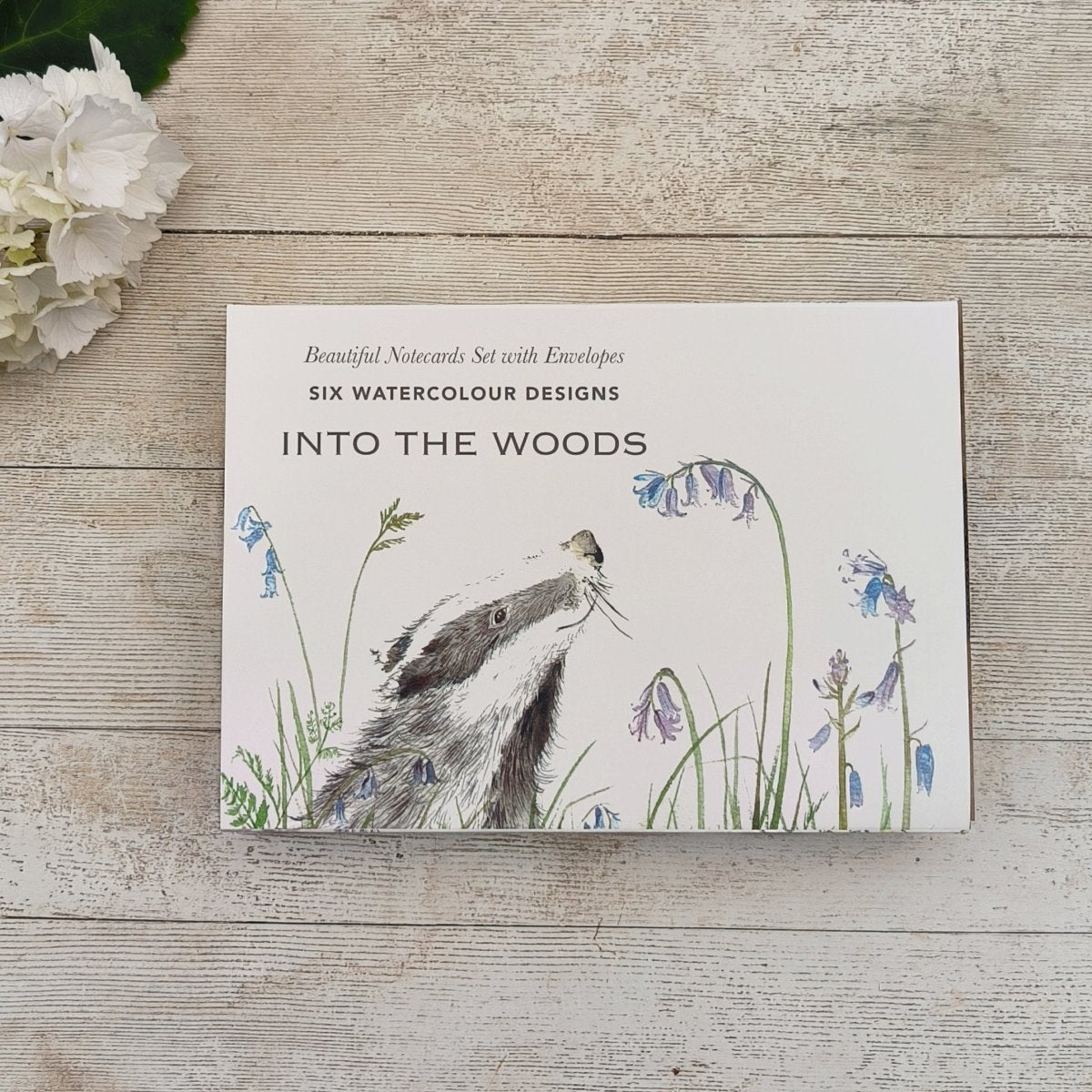 Into The Woods Boxed Notecard Set