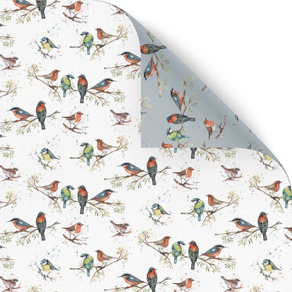Birds of Britain Wrapping Paper Illustrated by Meg Hawkins - 6 Sheets