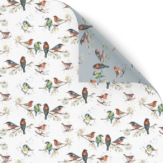 Birds of Britain Wrapping Paper Illustrated by Meg Hawkins - 6 Sheets
