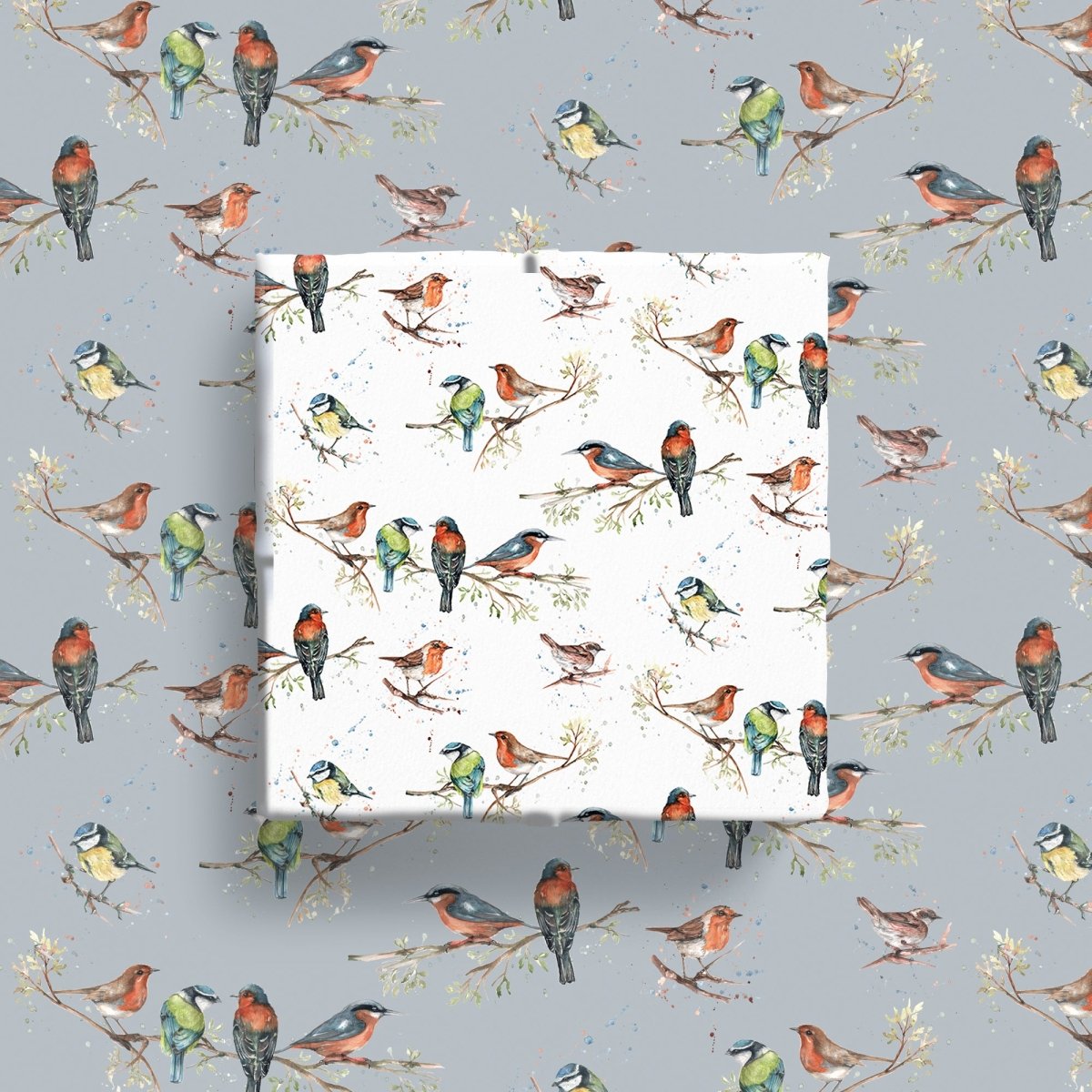 Birds of Britain Wrapping Paper Illustrated by Meg Hawkins - 6 Sheets