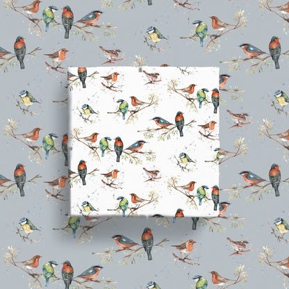 Birds of Britain Wrapping Paper Illustrated by Meg Hawkins - 6 Sheets