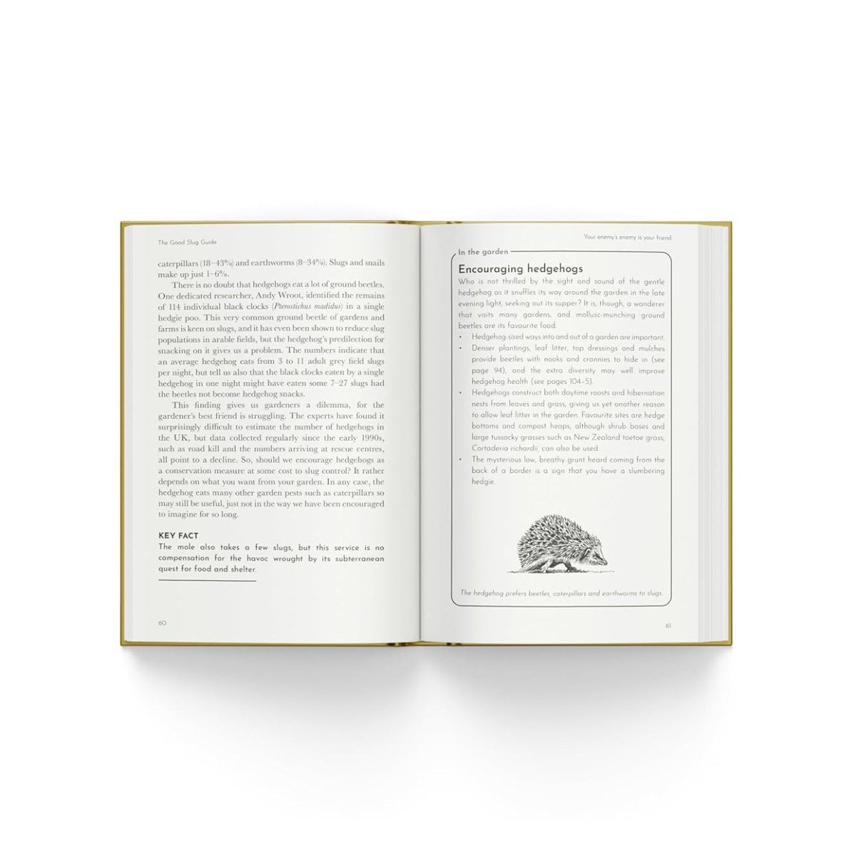 The Good Slug Guide