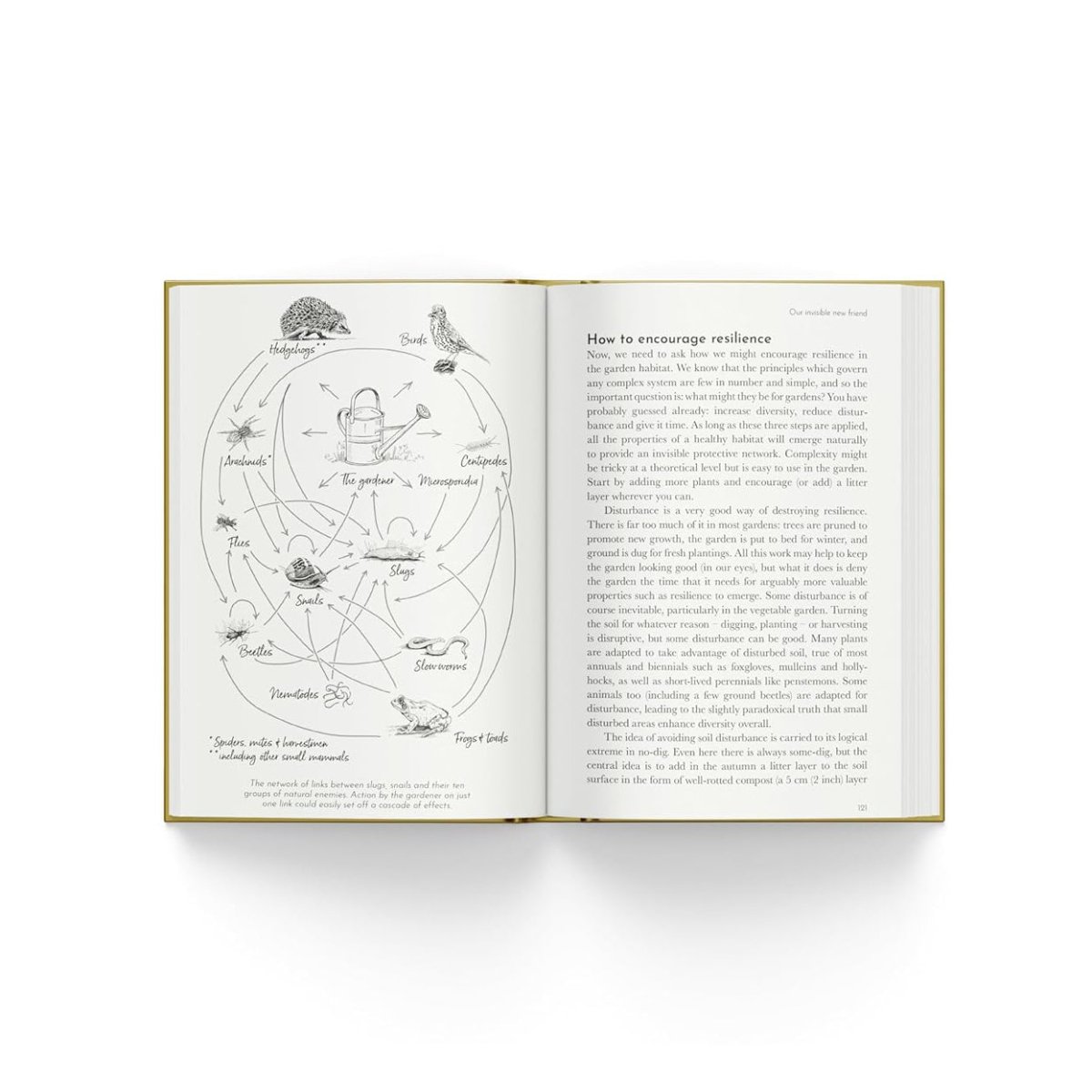 The Good Slug Guide