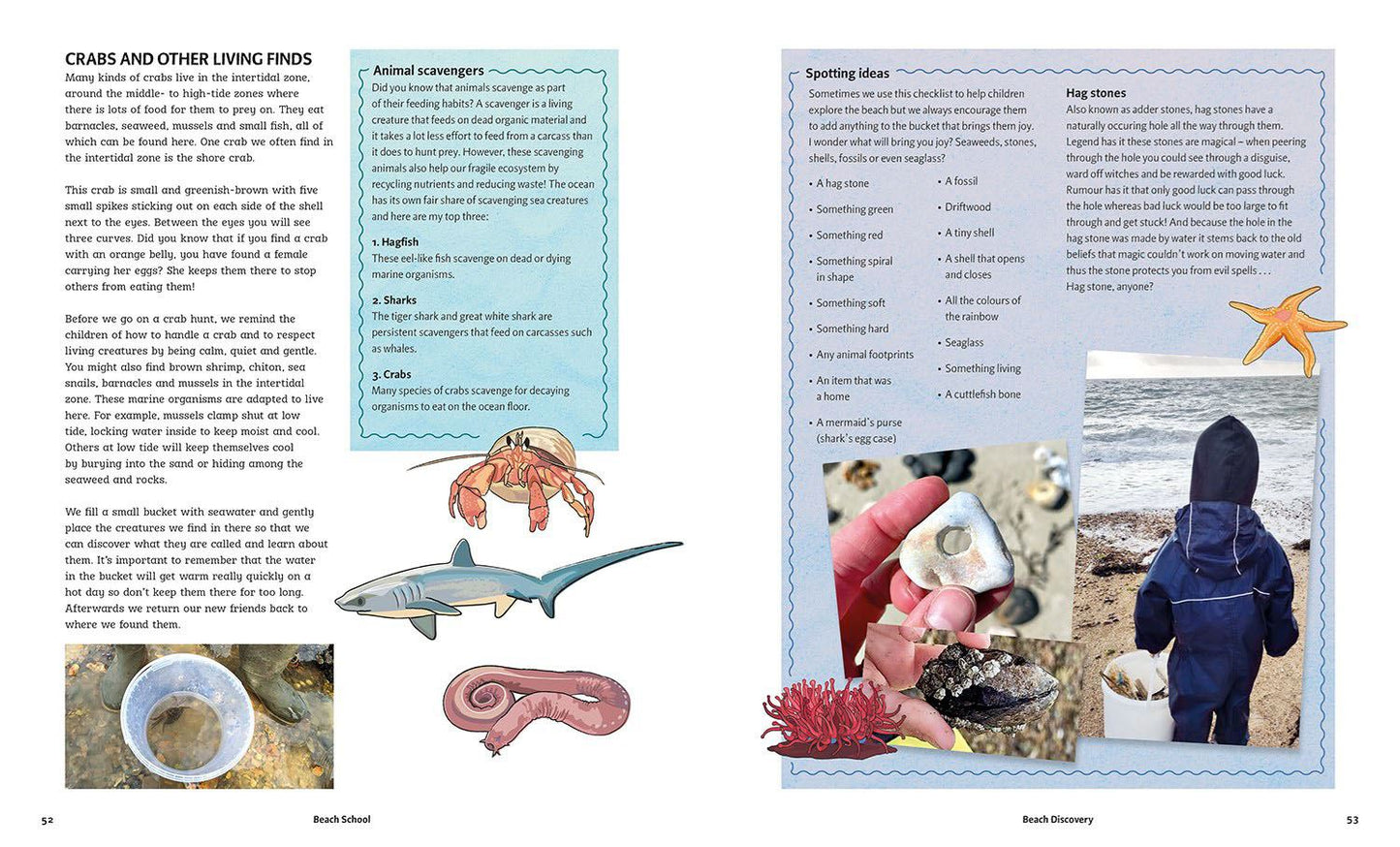 Beach School: Seaside Activities for Young Explorers