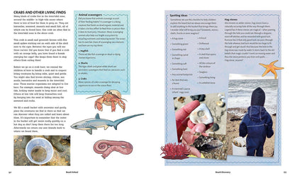 Beach School: Seaside Activities for Young Explorers