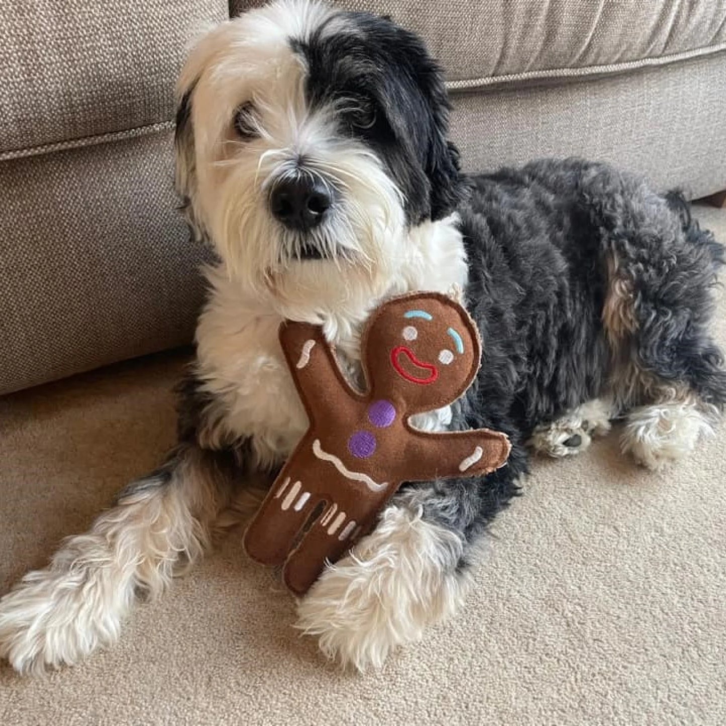 Jean Genie the Gingerbread Person Eco Dog Toy