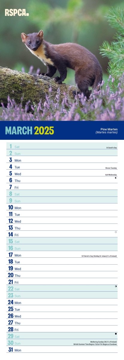 RSPCA British Wildlife Slim Calendar 2025