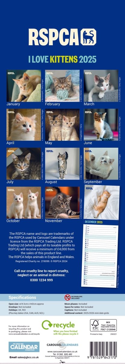 RSPCA Kittens Slim Calendar 2025