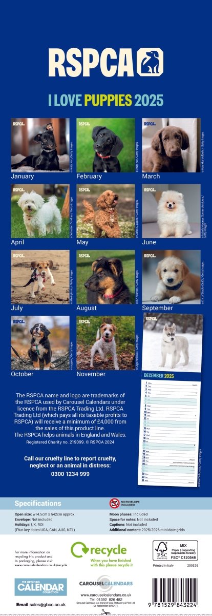 RSPCA Puppies Slim Calendar 2025