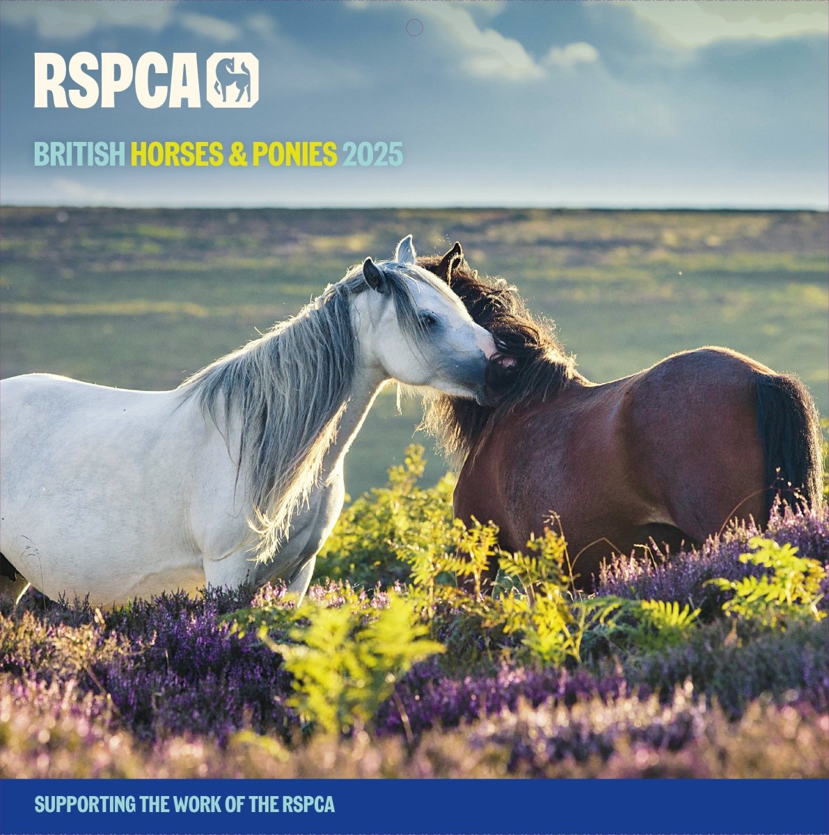 RSPCA Horses Square Wall Calendar 2025