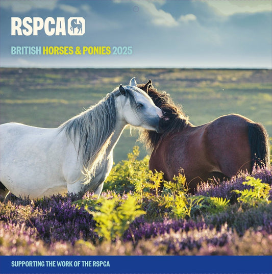 RSPCA Horses Square Wall Calendar 2025