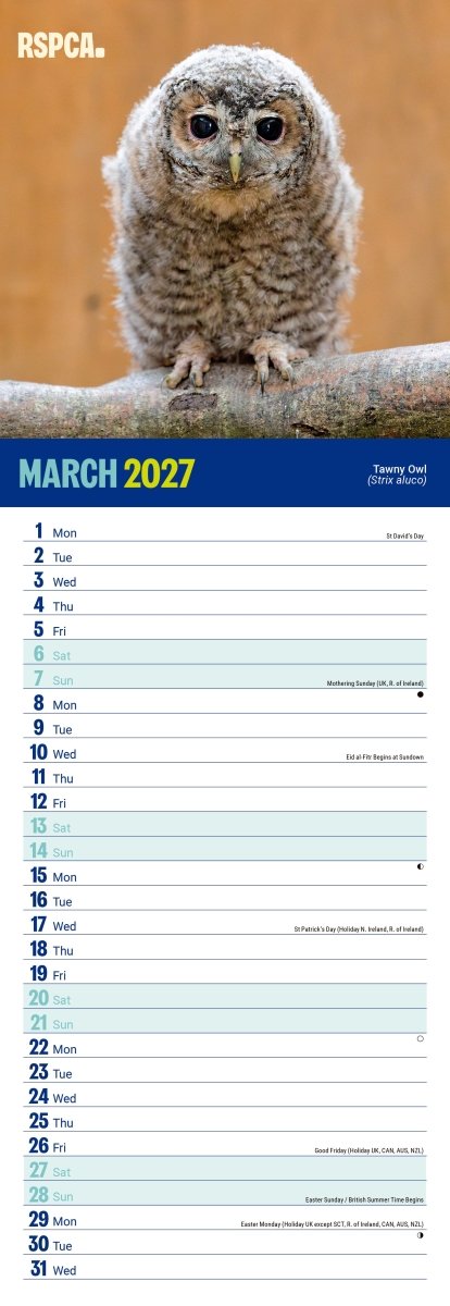 RSPCA British Wildlife - Slim Calendar 2027