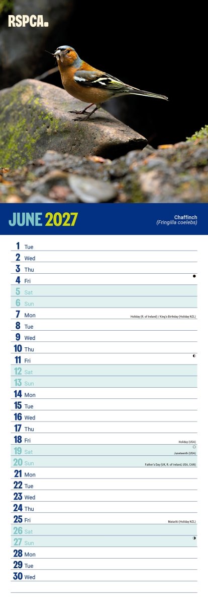 RSPCA British Wildlife - Slim Calendar 2027
