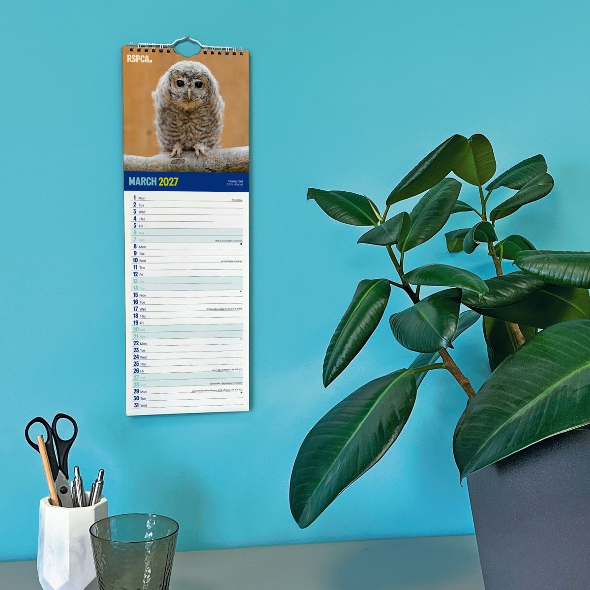 RSPCA British Wildlife - Slim Calendar 2027