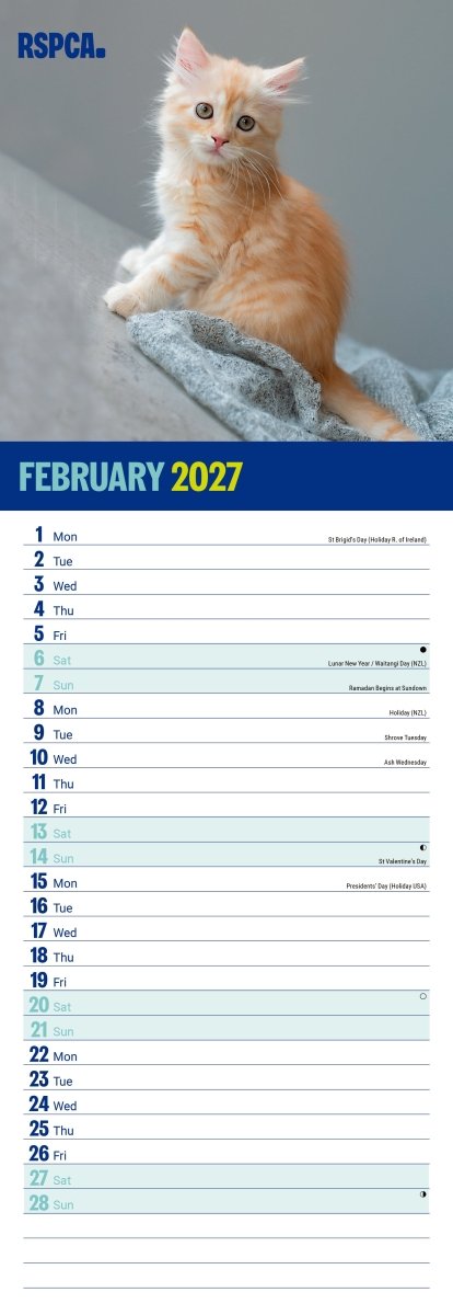 RSPCA I Love Kittens - Slim Calendar 2027
