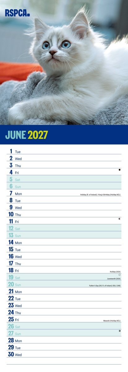 RSPCA I Love Kittens - Slim Calendar 2027