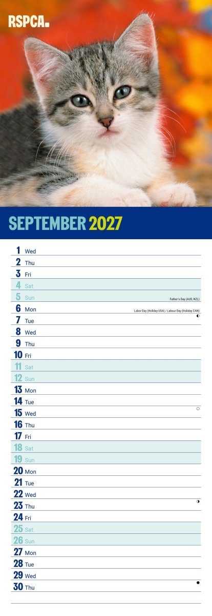 RSPCA I Love Kittens - Slim Calendar 2027