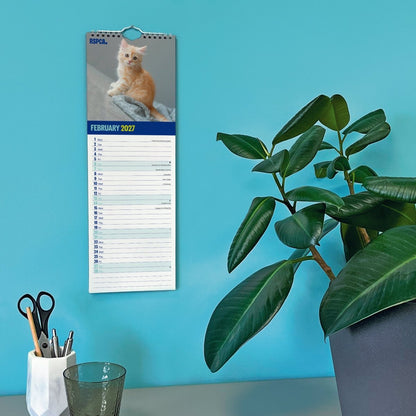 RSPCA I Love Kittens - Slim Calendar 2027
