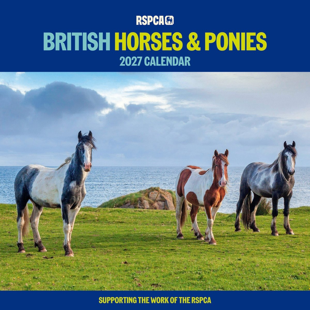 RSPCA British Horses & Ponies - Square Wall Calendar 2027