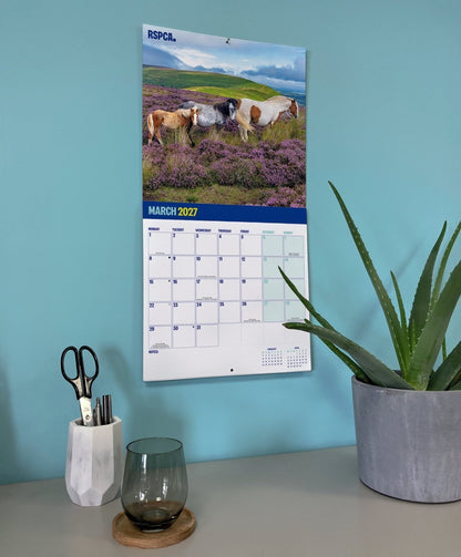 RSPCA British Horses & Ponies - Square Wall Calendar 2027