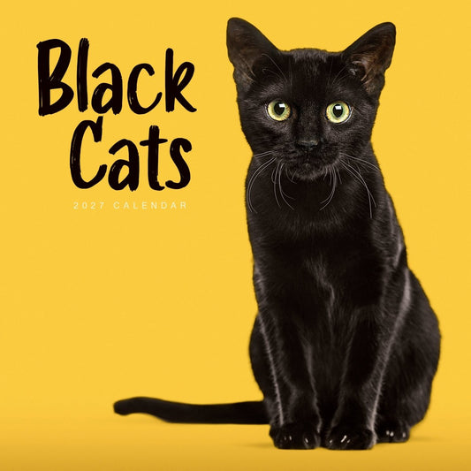 Black Cats, Square Wall Calendar 2027