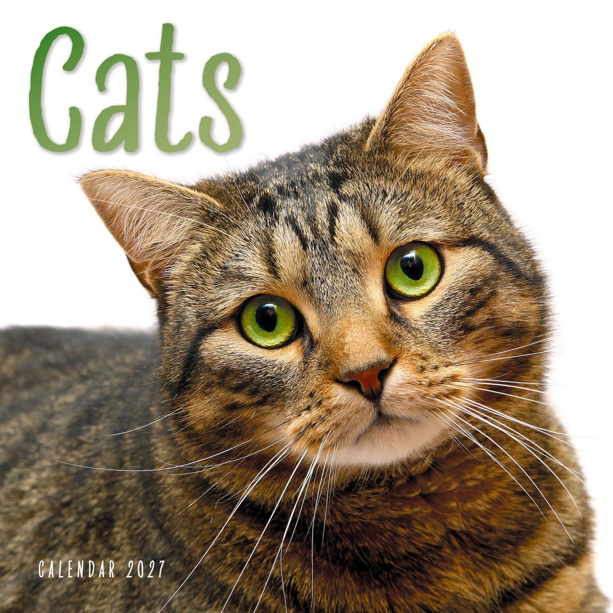 Cats - Square Wall Calendar 2027