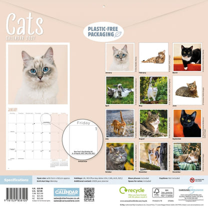 Cats - Square Wall Calendar 2027