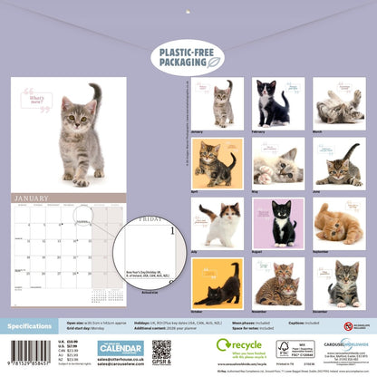 Cute Cats - Square Wall Calendar 2027