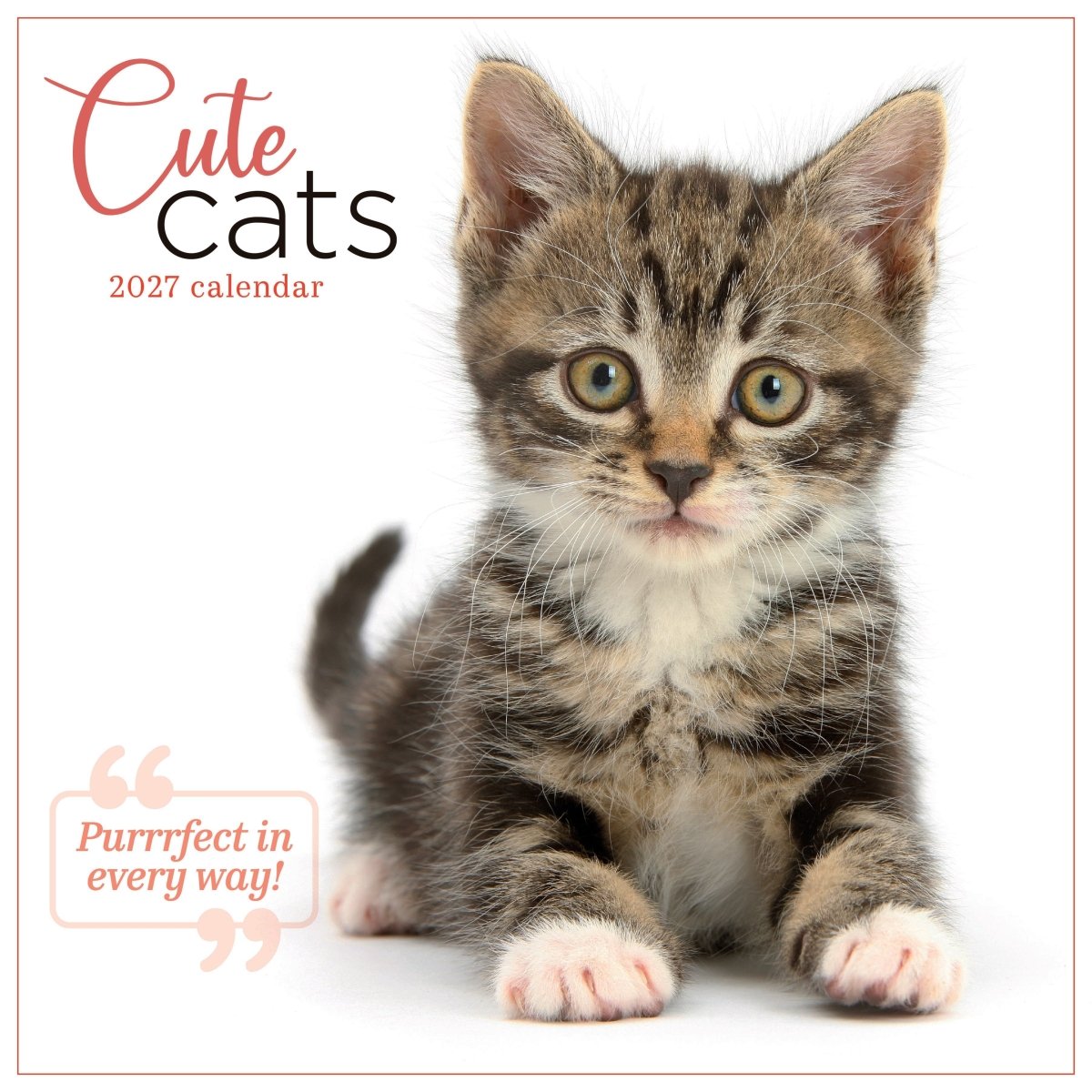Cute Cats - Square Wall Calendar 2027
