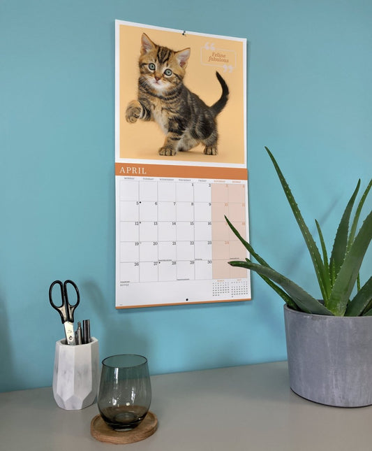 Cute Cats - Square Wall Calendar 2027