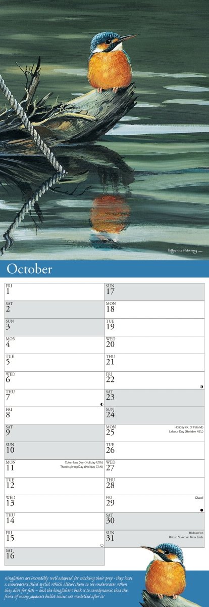 Garden Birds by Pollyanna Pickering - Slim Wall Calendar 2027