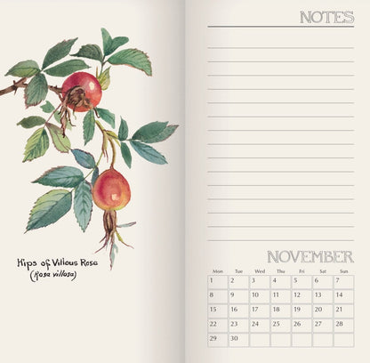 A Country Diary by Edith Holden - Pocket Diary 2027