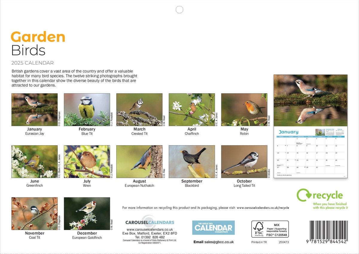 Garden Birds Square Wall Calendar 2025