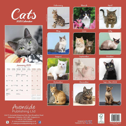 Cats Wall Square Calendar 2025