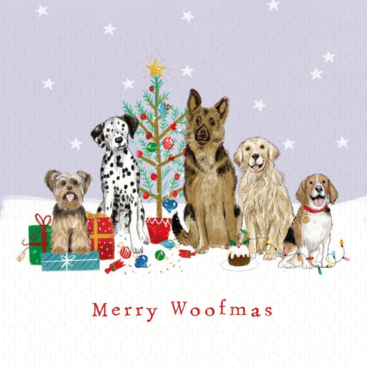 Paws in a Row Christmas Cards, 10 Pack