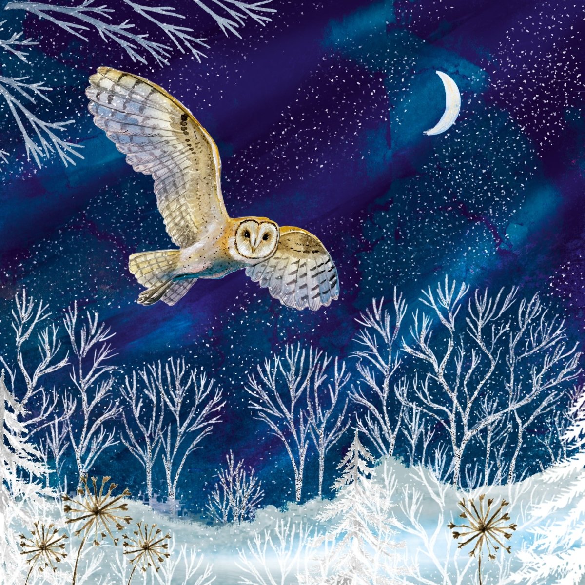 Barn Owl in Flight Christmas Cards, 10 Pack