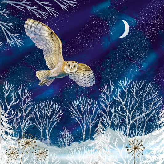 Barn Owl in Flight Christmas Cards, 10 Pack