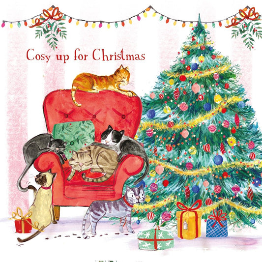 Cosy Christmas Cards, 10 Pack