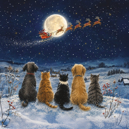 Waiting for Santa Christmas Cards, 10 Pack
