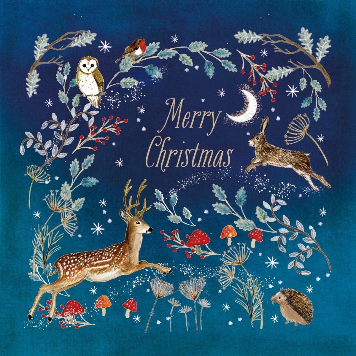 Winter Wildlife Christmas Cards, 10 Pack