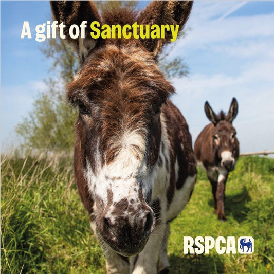 A Gift of Sanctuary RSPCA Charity Gift Card £20
