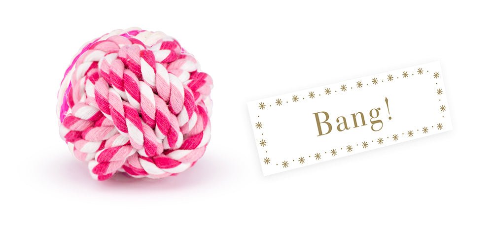 Dog Pet Christmas Cracker