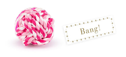 Dog Pet Christmas Cracker