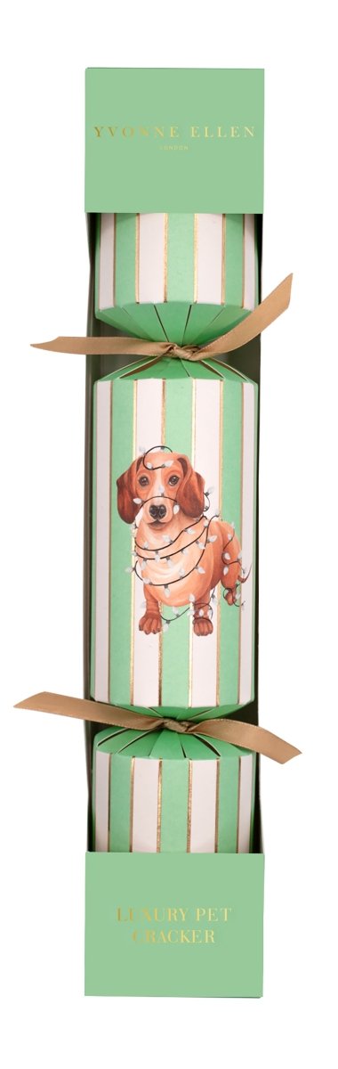 Dog Pet Christmas Cracker