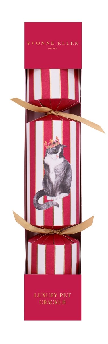 Cat Pet Christmas Cracker