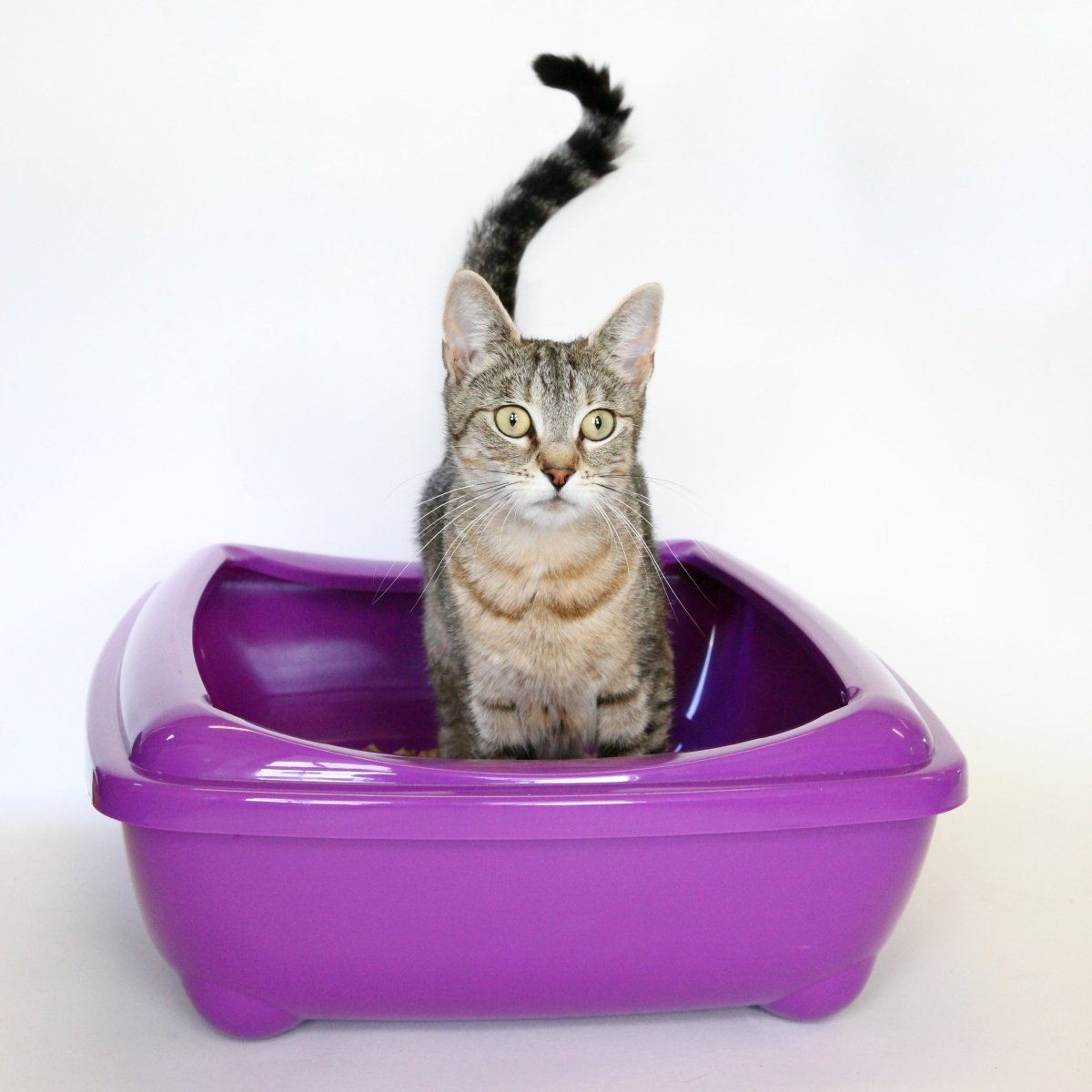 RSPCA Ultra Absorbent Non - Clumping Cat Litter, 30 litres