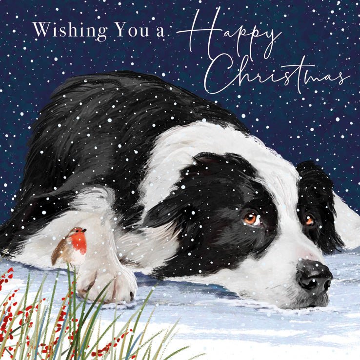 RSPCA Christmas Cards Cool Collie