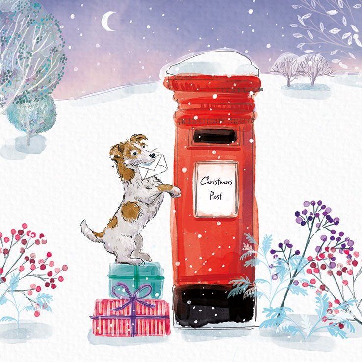 RSPCA Christmas Cards Christmas Post