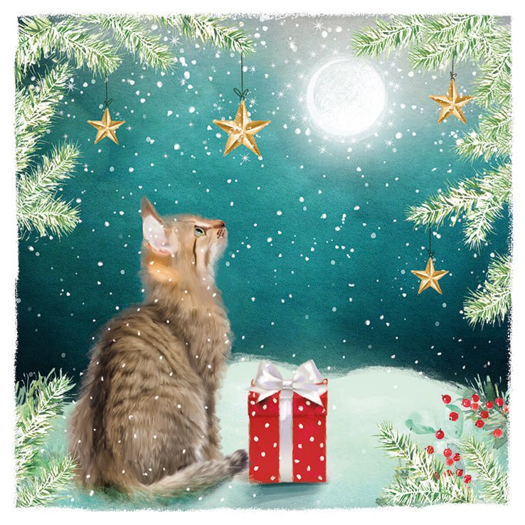 RSPCA Christmas Cards Cat in the Moonlight