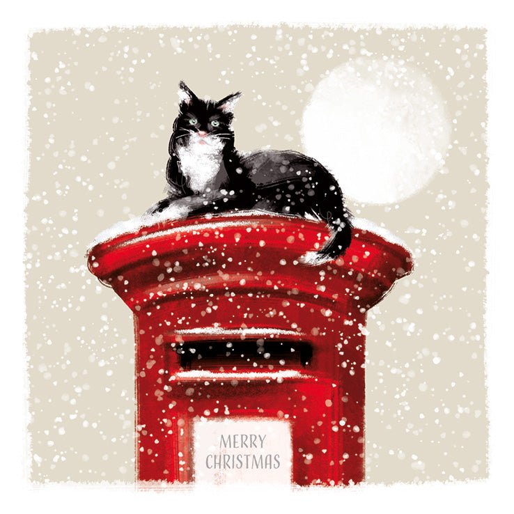 RSPCA Christmas Cards Cat on the Postbox